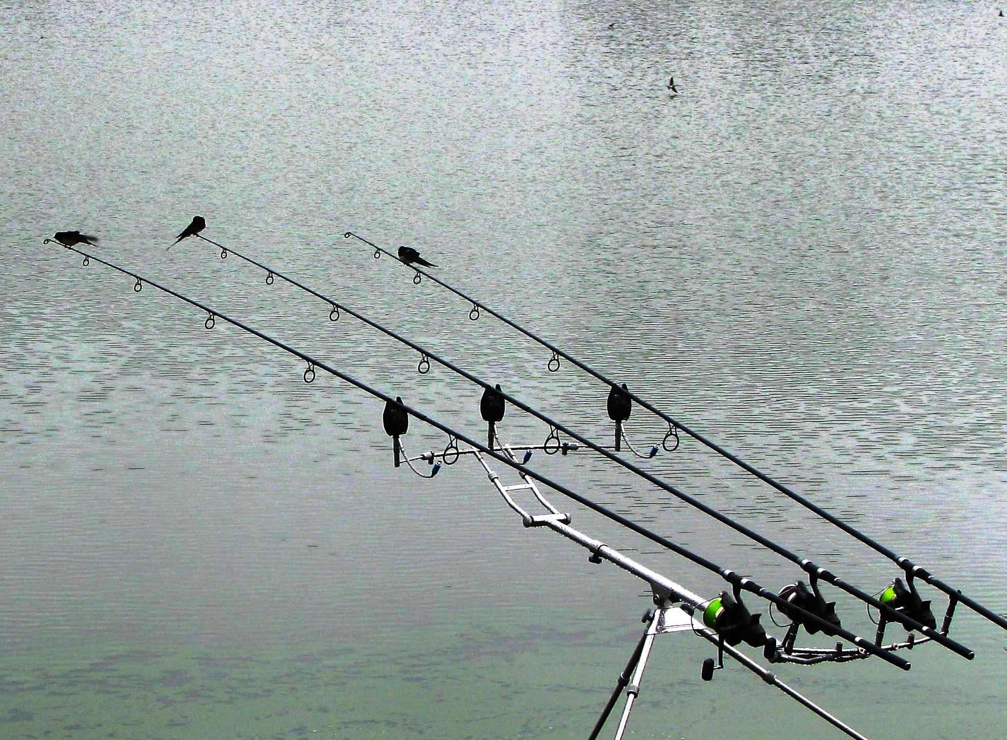 Balkan lake 29 sep. - 4 oct. - img0883.JPG